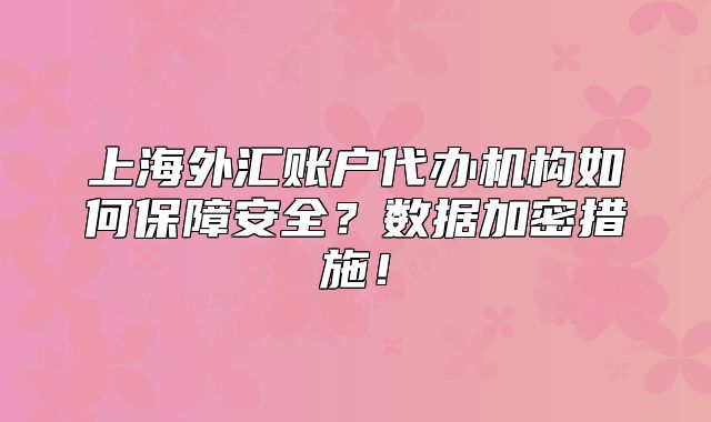 上海外匯賬戶代辦機(jī)構(gòu)如何保障安全？數(shù)據(jù)加密措施！