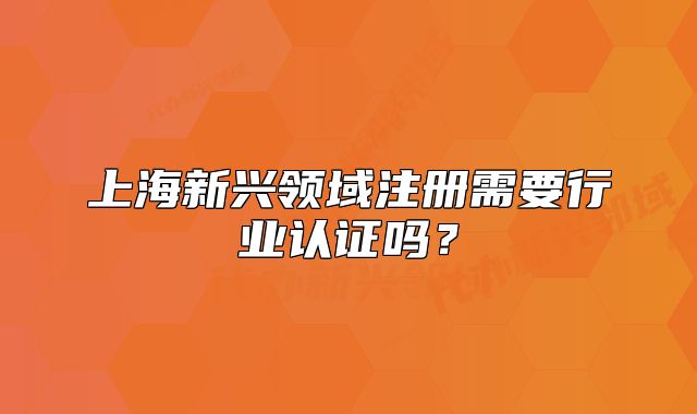 上海新興領(lǐng)域注冊(cè)需要行業(yè)認(rèn)證嗎？