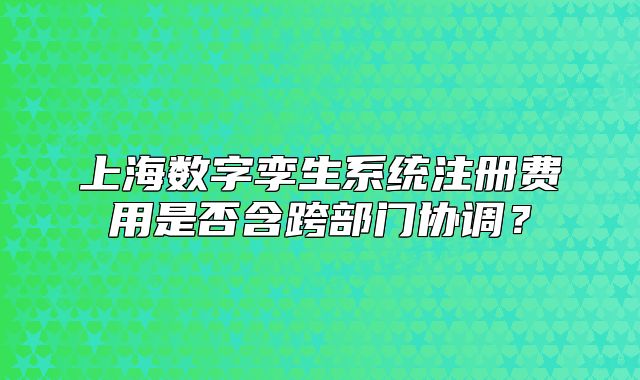 上海數(shù)字孿生系統(tǒng)注冊費用是否含跨部門協(xié)調？