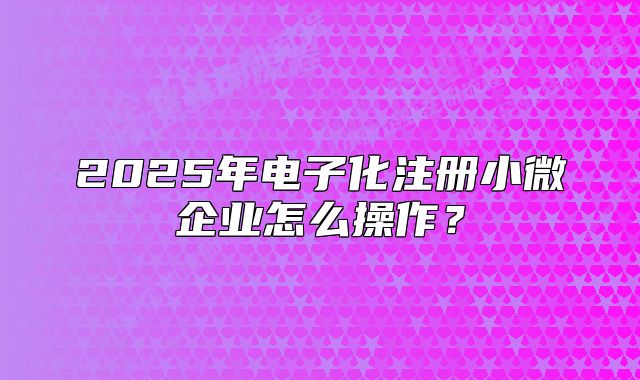 2025年電子化注冊小微企業(yè)怎么操作？