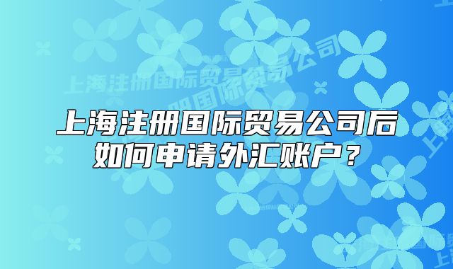 上海注冊國際貿(mào)易公司后如何申請外匯賬戶？