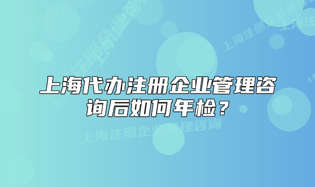 上海代辦注冊(cè)企業(yè)管理咨詢后如何年檢？