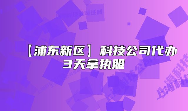 【浦東新區(qū)】科技公司代辦3天拿執(zhí)照