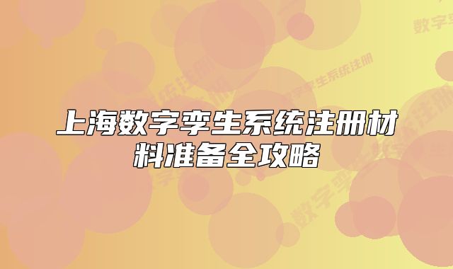 上海數(shù)字孿生系統(tǒng)注冊材料準(zhǔn)備全攻略