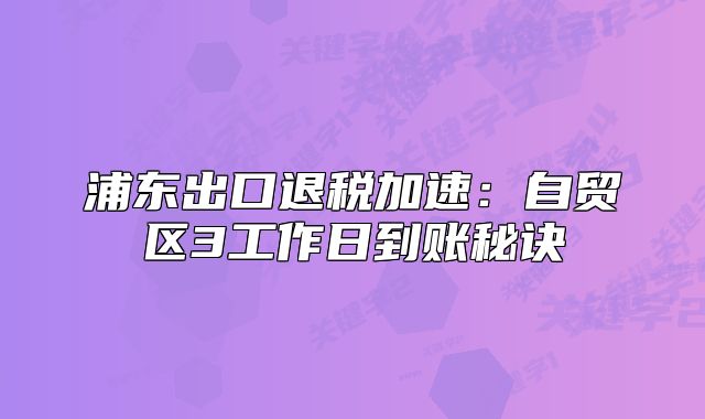 浦東出口退稅加速：自貿(mào)區(qū)3工作日到賬秘訣