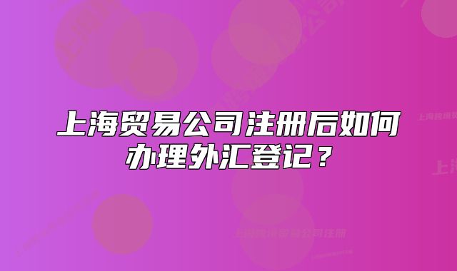 上海貿(mào)易公司注冊(cè)后如何辦理外匯登記？