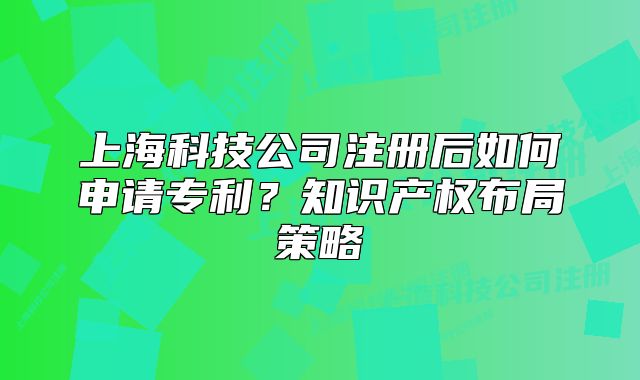 上?？萍脊咀院笕绾紊暾垖＠?？知識產(chǎn)權(quán)布局策略