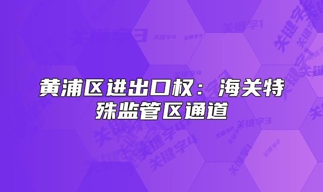 黃浦區(qū)進出口權(quán):海關(guān)特殊監(jiān)管區(qū)通道