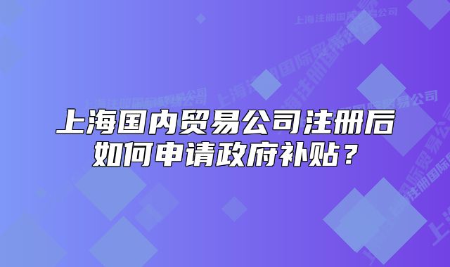 上海國內(nèi)貿(mào)易公司注冊后如何申請政府補貼？