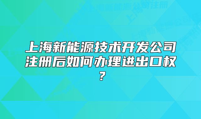 上海新能源技術開發(fā)公司注冊后如何辦理進出口權？