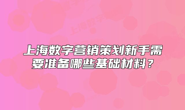 上海數(shù)字營銷策劃新手需要準(zhǔn)備哪些基礎(chǔ)材料？