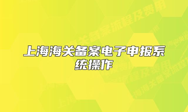 上海海關(guān)備案電子申報(bào)系統(tǒng)操作