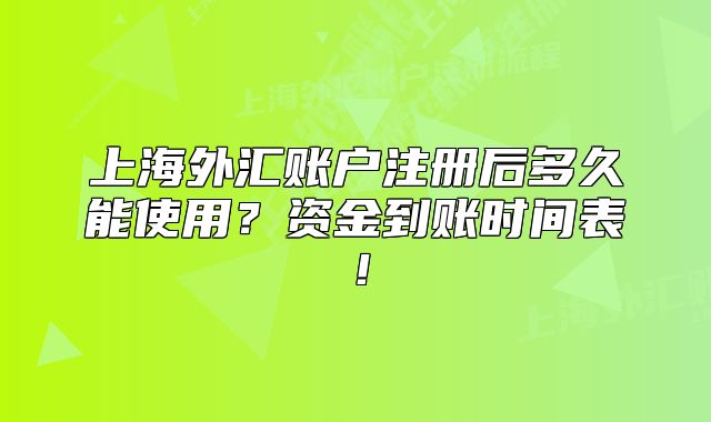 上海外匯賬戶注冊后多久能使用？資金到賬時間表！