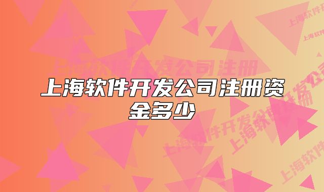 上海軟件開發(fā)公司注冊資金多少