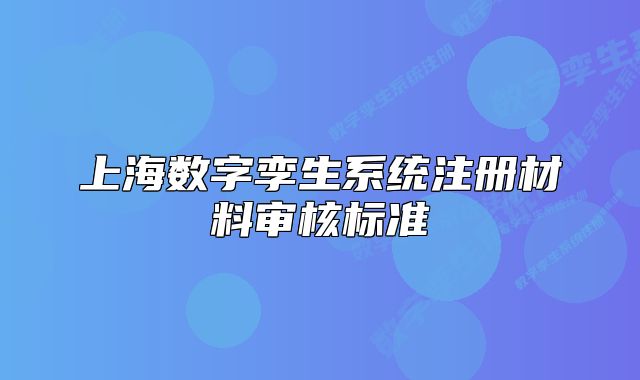 上海數(shù)字孿生系統(tǒng)注冊材料審核標(biāo)準(zhǔn)