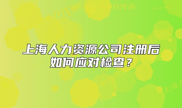 上海人力資源公司注冊后如何應對檢查？