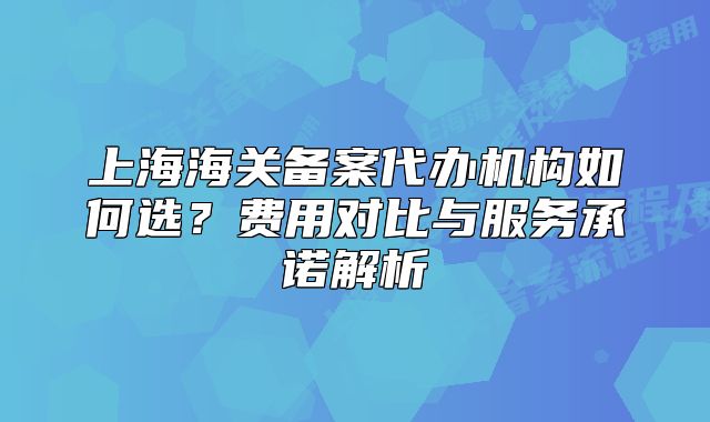上海海關(guān)備案代辦機構(gòu)如何選？費用對比與服務(wù)承諾解析