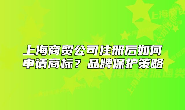 上海商貿(mào)公司注冊(cè)后如何申請(qǐng)商標(biāo)？品牌保護(hù)策略