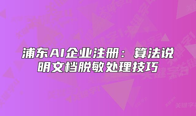 浦東AI企業(yè)注冊：算法說明文檔脫敏處理技巧