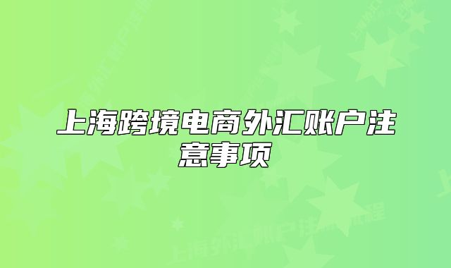 上海跨境電商外匯賬戶注意事項(xiàng)