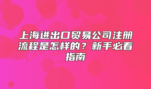 上海進(jìn)出口貿(mào)易公司注冊(cè)流程是怎樣的？新手必看指南