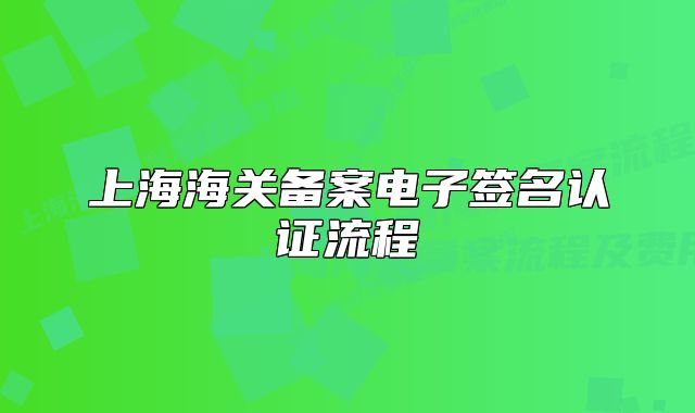 上海海關(guān)備案電子簽名認(rèn)證流程