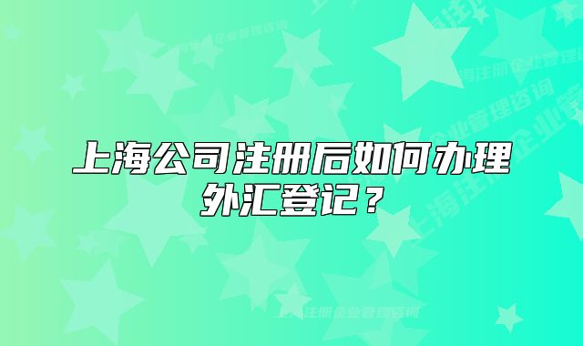 上海公司注冊(cè)后如何辦理外匯登記？