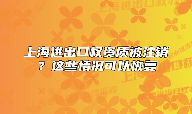 上海進出口權(quán)資質(zhì)被注銷？這些情況可以恢復