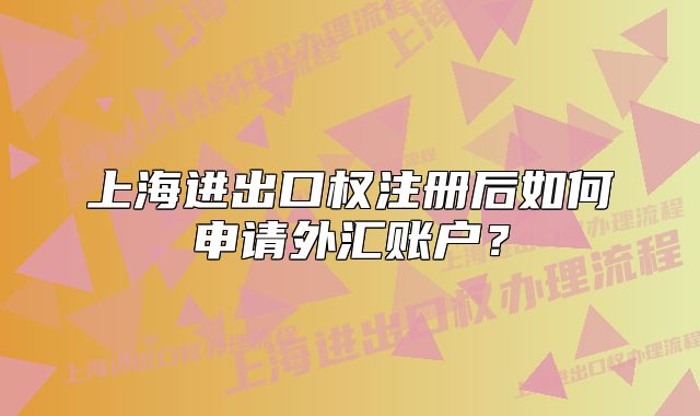 上海進(jìn)出口權(quán)注冊后如何申請外匯賬戶？