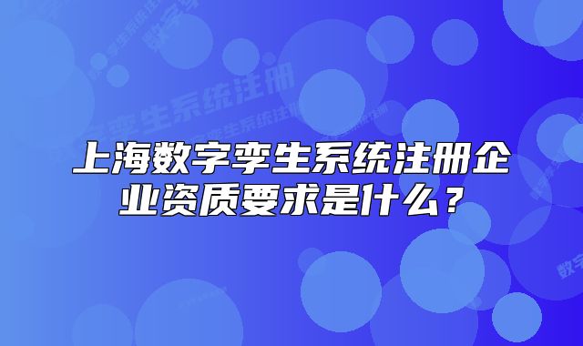 上海數(shù)字孿生系統(tǒng)注冊(cè)企業(yè)資質(zhì)要求是什么？