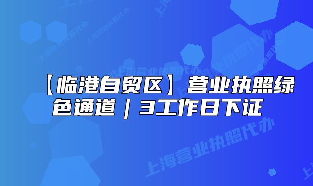 【臨港自貿(mào)區(qū)】營(yíng)業(yè)執(zhí)照綠色通道｜3工作日下證