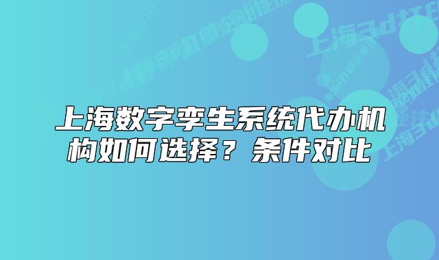 上海數(shù)字孿生系統(tǒng)代辦機(jī)構(gòu)如何選擇？條件對(duì)比