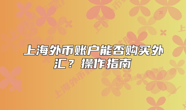 上海外幣賬戶能否購(gòu)買外匯？操作指南