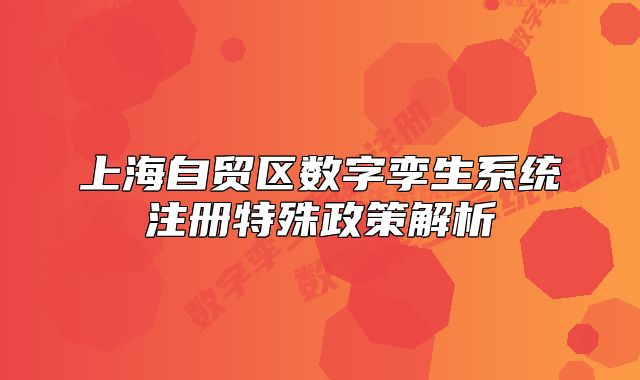 上海自貿(mào)區(qū)數(shù)字孿生系統(tǒng)注冊特殊政策解析