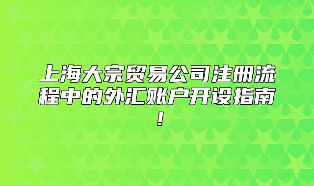 上海大宗貿(mào)易公司注冊(cè)流程中的外匯賬戶開設(shè)指南！