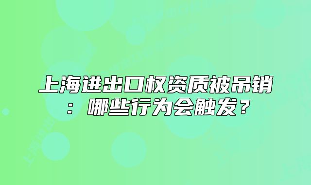 上海進(jìn)出口權(quán)資質(zhì)被吊銷：哪些行為會(huì)觸發(fā)？