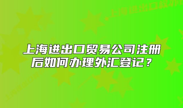 上海進(jìn)出口貿(mào)易公司注冊(cè)后如何辦理外匯登記？