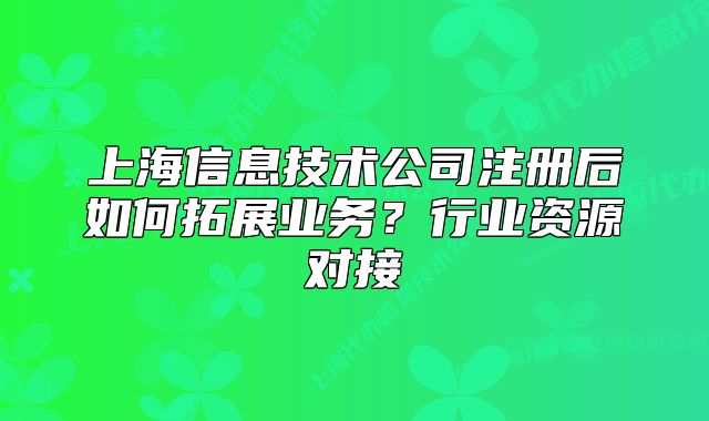上海信息技術(shù)公司注冊(cè)后如何拓展業(yè)務(wù)?行業(yè)資源對(duì)接