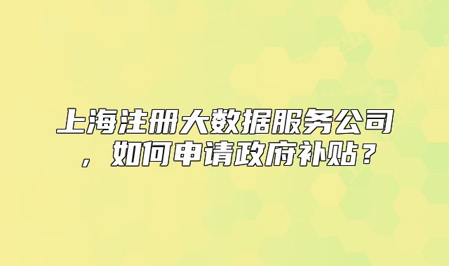 上海注冊大數(shù)據(jù)服務(wù)公司，如何申請政府補(bǔ)貼？