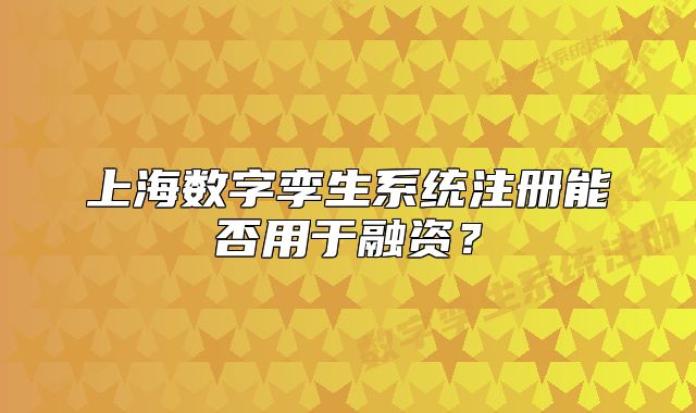 上海數(shù)字孿生系統(tǒng)注冊能否用于融資？