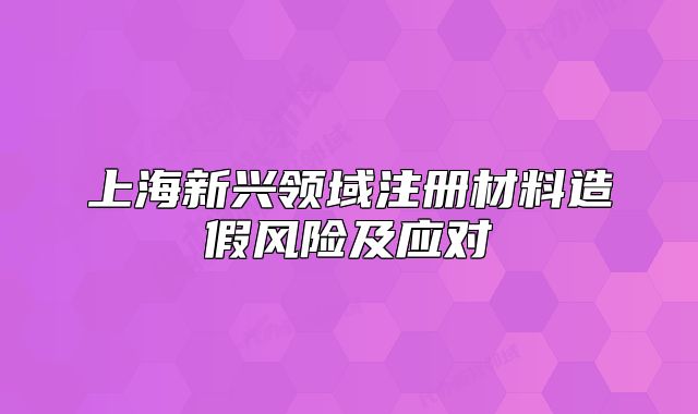 上海新興領(lǐng)域注冊(cè)材料造假風(fēng)險(xiǎn)及應(yīng)對(duì)
