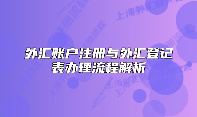 外匯賬戶注冊與外匯登記表辦理流程解析