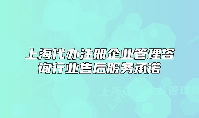 上海代辦注冊(cè)企業(yè)管理咨詢(xún)行業(yè)售后服務(wù)承諾