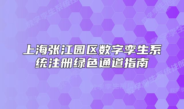 上海張江園區(qū)數(shù)字孿生系統(tǒng)注冊(cè)綠色通道指南
