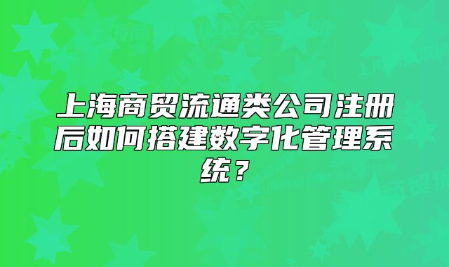 上海商貿(mào)流通類公司注冊(cè)后如何搭建數(shù)字化管理系統(tǒng)？