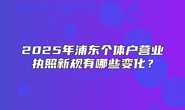 2025年浦東個體戶營業(yè)執(zhí)照新規(guī)有哪些變化？