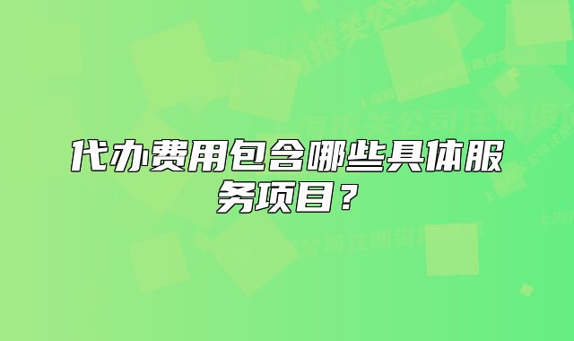 代辦費(fèi)用包含哪些具體服務(wù)項(xiàng)目？