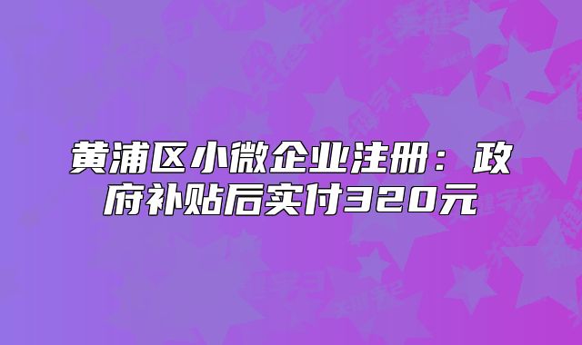 黃浦區(qū)小微企業(yè)注冊:政府補貼后實付320元