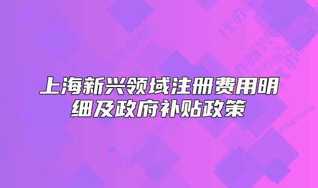 上海新興領(lǐng)域注冊(cè)費(fèi)用明細(xì)及政府補(bǔ)貼政策