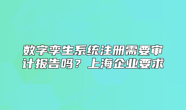 數(shù)字孿生系統(tǒng)注冊需要審計報告嗎？上海企業(yè)要求